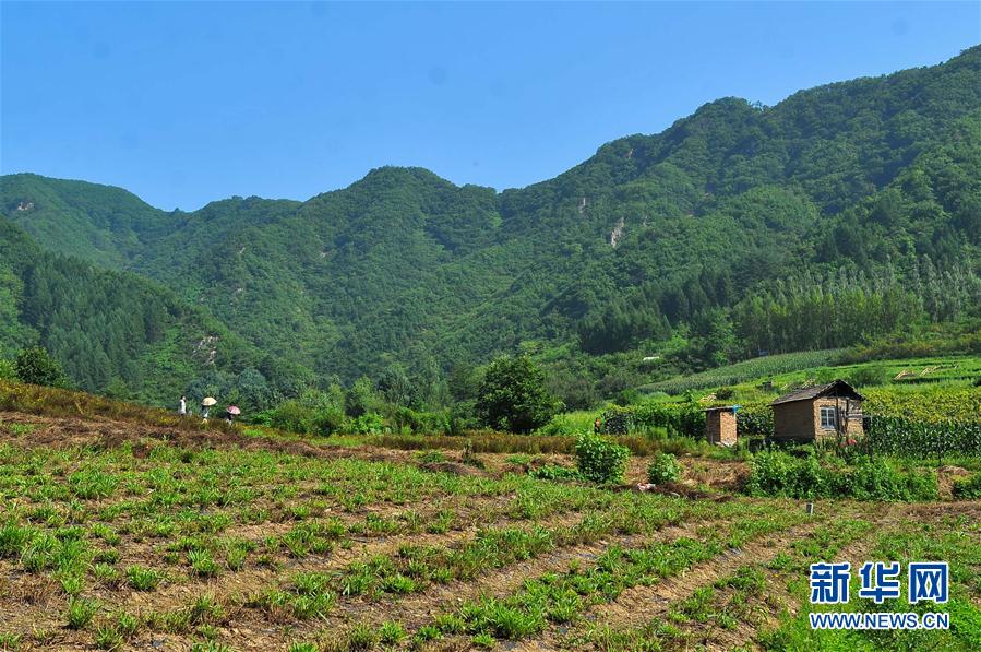 Small city booms its economy through tourism