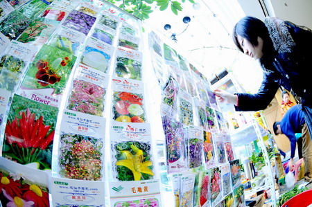 'Happy farms' introduced into real life in NE China