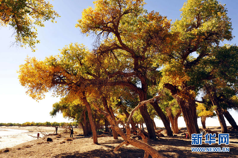 Autumn scenery around China