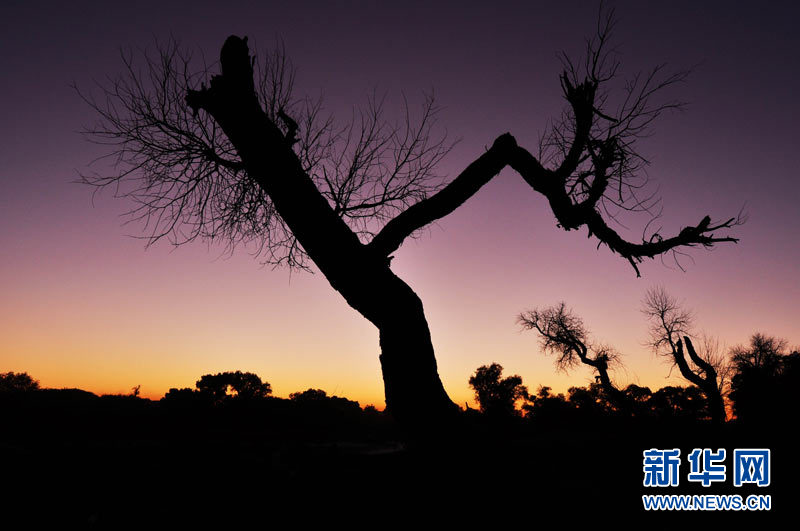 Autumn scenery around China