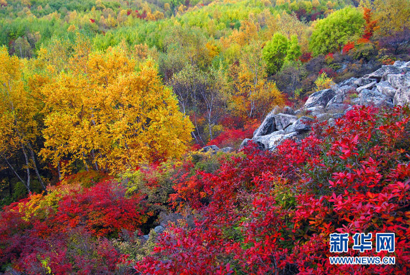 Autumn scenery around China