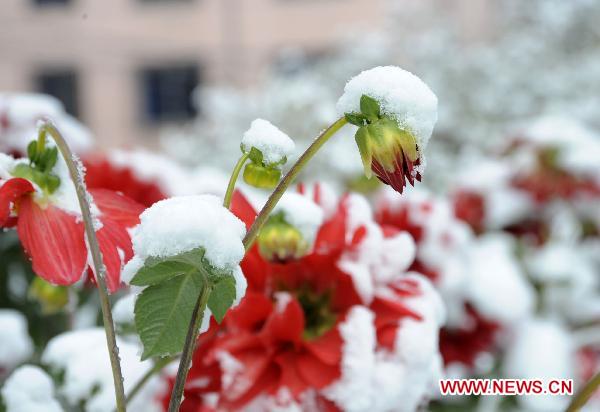 Nine provinces in China to enter winter due to cold fronts