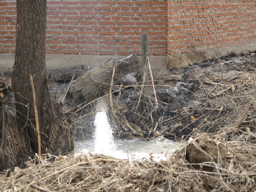 調查：沈陽小造紙廠違規排污、貽害居民