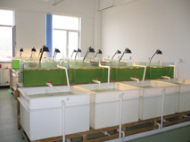 Key Laboratory of Marine Ecology and Environmental Sciences