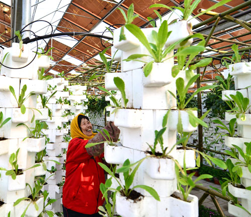 Jimo to build 'solar power towns'