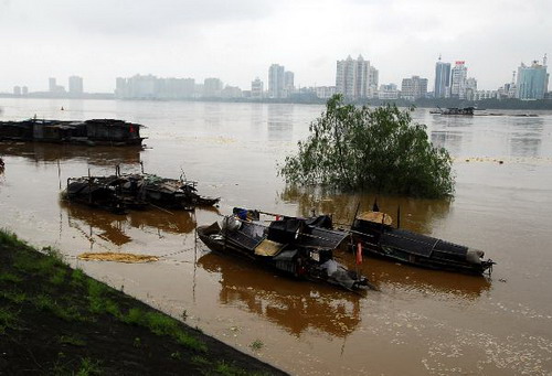 People in storm-hit Guangdong transferred to safe places