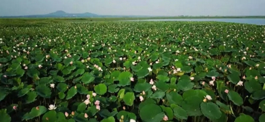 Escape summer heat in Dongping