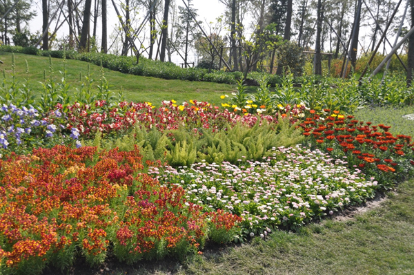 Flowers blossom in Chenshan's Mine Crater Garden