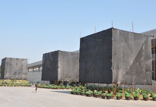 Chenshan Botanical Garden fights heat