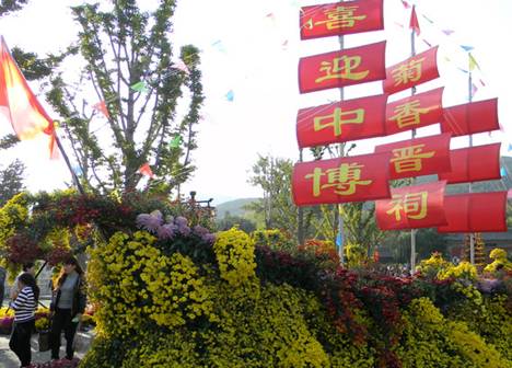 Chrysanthemum Culture Festival attracts thousands to Taiyuan