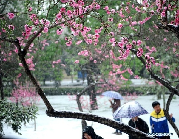 Snowfall hits Taiyuan, N China
