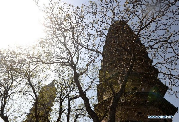 Twin pagodas at Yongzuo Temple