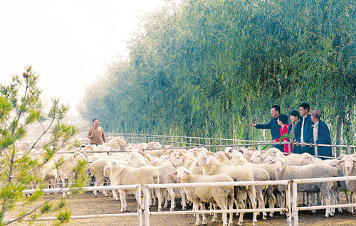 Dayu town signs deals to develop agri-tourism
