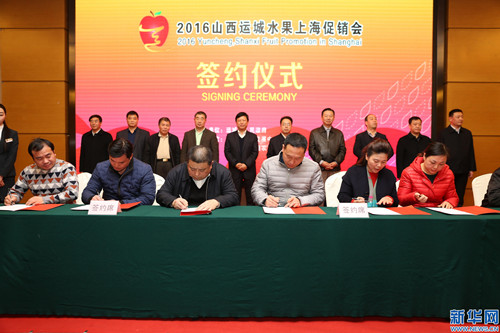 Yuncheng promotes fruit in Shanghai