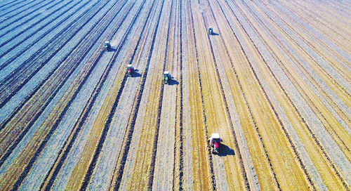 Spring farming in Shanxi