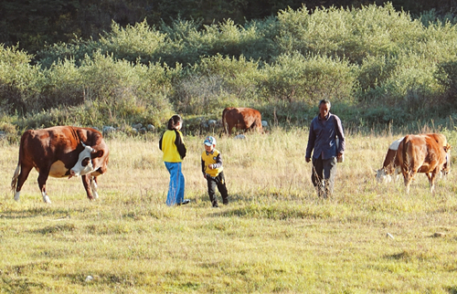 Shanxi still a hotspot for holiday tourism