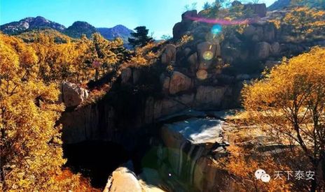Local photographers capture the beauty of autumn in Tai'an