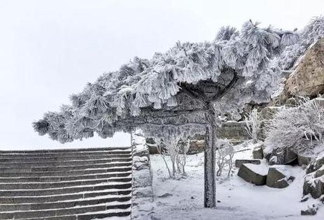 Mount Tai local captures winter's essence