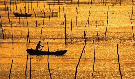 Splendid Tai'an captured in photos