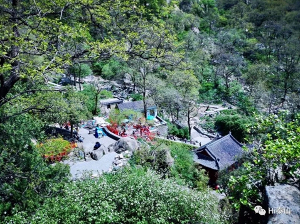 Early summer glitters at Mount Tai
