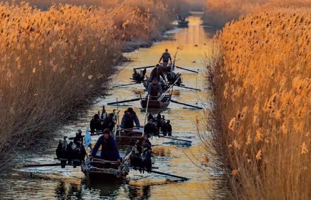 Enjoy the winter views in Tai'an