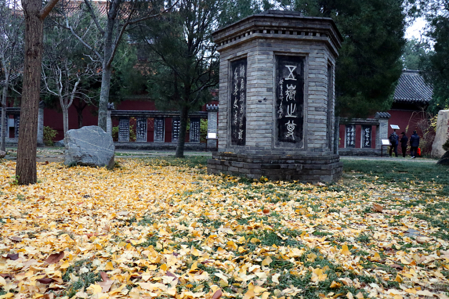 In pics: Stone carving captured at Dai Temple in early winter