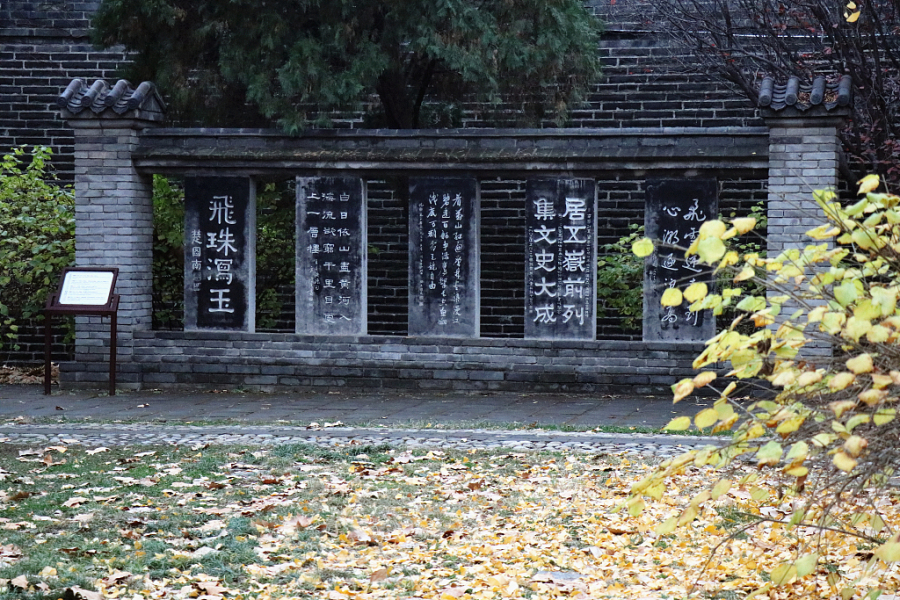 In pics: Stone carving captured at Dai Temple in early winter