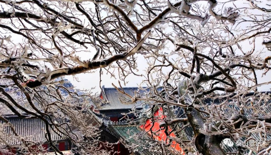 Frozen rime turns Mount Tai into fairyland