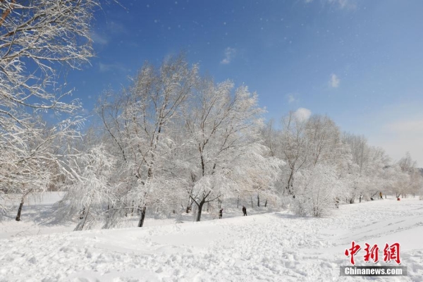 Heavy snow hits Shenyang, NE China