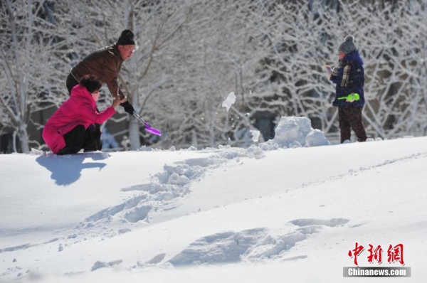 Heavy snow hits Shenyang, NE China
