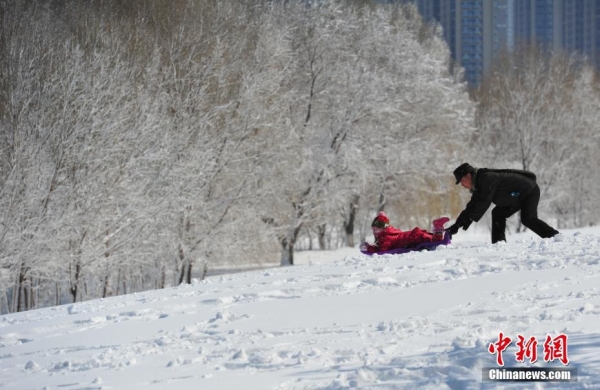 Heavy snow hits Shenyang, NE China