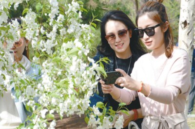 Begonia flower festival opens in Shenyang
