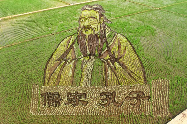 3D paddy field 'art' a highlight of Shenyang
