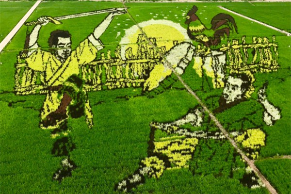 3D paddy field 'art' a highlight of Shenyang