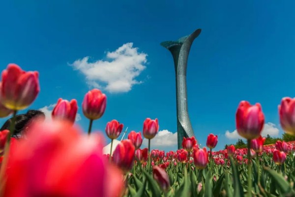 Shenyang promotes summer tourism