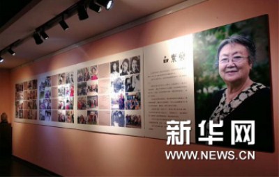 Exhibition of Bai Sulan's paintings underway in Shenyang
