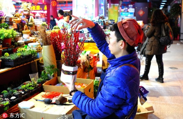 Florists prepare for Spring Festival rush