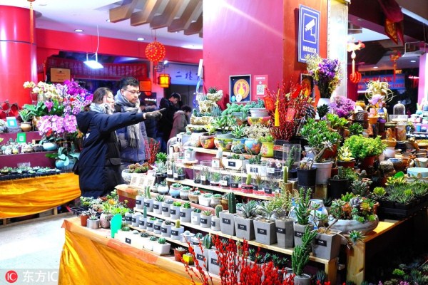 Florists prepare for Spring Festival rush