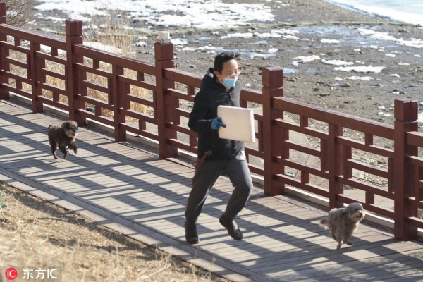 Spring comes to Shenyang