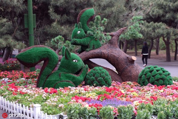 Flower festival begins at Beiling Park