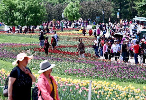 Flowers draw crowds to Shenyang Expo Park