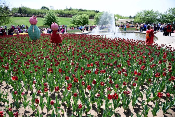 Flowers draw crowds to Shenyang Expo Park