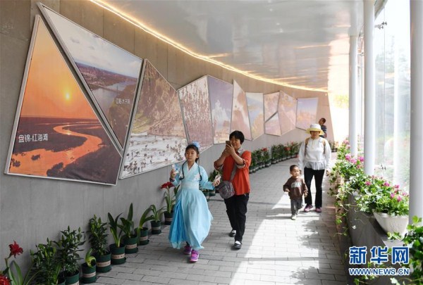 Liaoning agricultural products promoted at Beijing expo