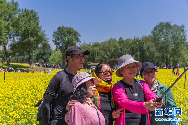 Cole flower festival opens in Heping district