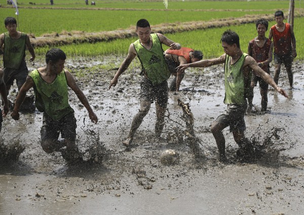 Folk stage dragon boat race in muddy rice fields