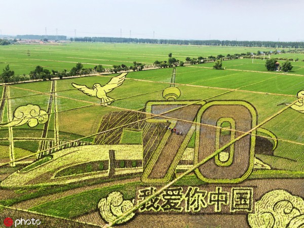 Shenyang displays spectacular paddy field art
