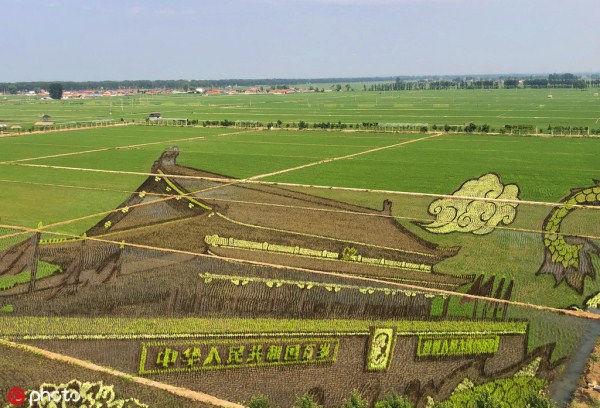Shenyang displays spectacular paddy field art