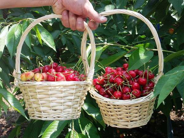 Summer tourism season (5): Explore colorful urban tours in Shenyang