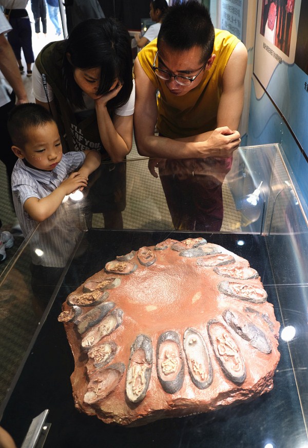 Fossil exhibition opens in Shenyang