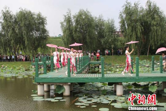 Lotus festival kicks off in Shenyang
